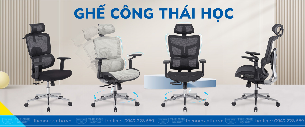 Một số sản phẩm ghế công thái học The One.