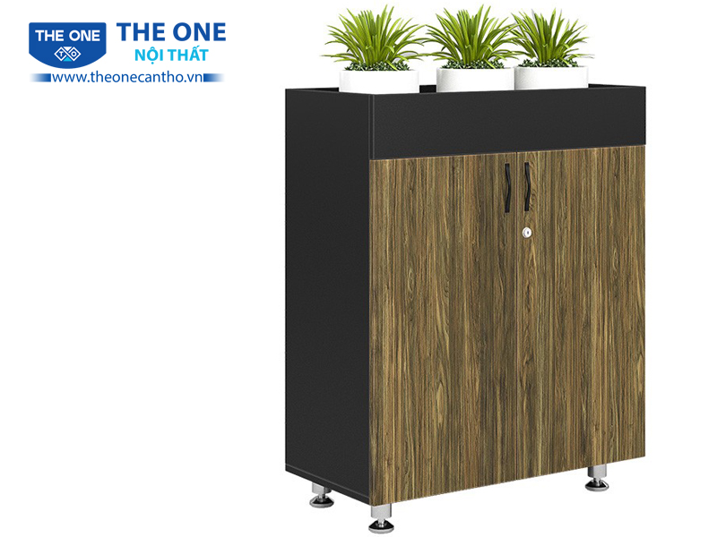 TỦ TÀI LIỆU BRIGHT BRI1000-2T2